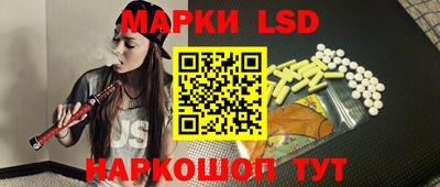прущие грибы Кандалакша