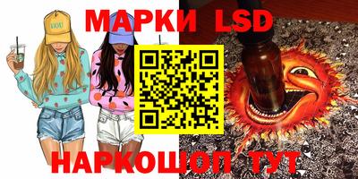прущие грибы Кандалакша