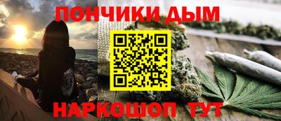 прущие грибы Кандалакша