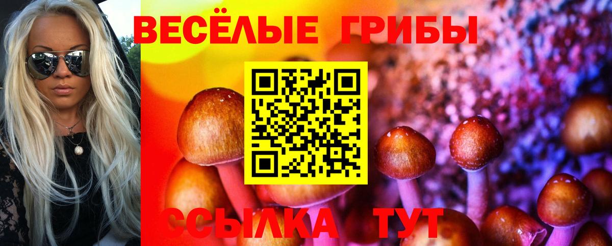 Псилоцибиновые грибы GOLDEN TEACHER Краснодар